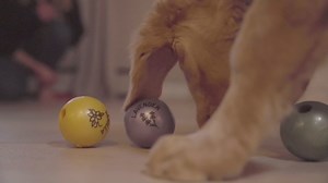 Outward Hound Planet Dog Orbee-Tuff Essentials Lavender Scented Interactive Dog Ball Treat Dispenser Toy, Purple