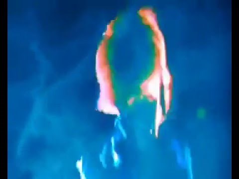 Ladyhawke | Back Of The Van (Official Video)