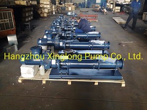 [Hot Item] High Quality Factory Price Progressive Cavity Single Screw Mono Pump