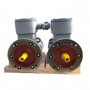 [Hot Item] High Quality Asynchronous Electric Three Phase Motor Electric Motor