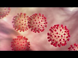 300+ new COVID-19 cases in Monroe County Tuesday