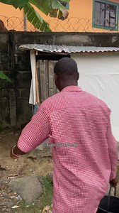 What is going here | Eagle Stars Comedy Tv