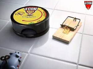 3K views · 15 reactions | #NewProductAlert: Kill mice effectively, cleanly and safely with d-CON mouse traps. These are safer than traditional mouse traps and much easier to use – all you need to do is just bait, twist and set! These are now available in supermarkets islandwide. | FRASA ARUBA | Facebook