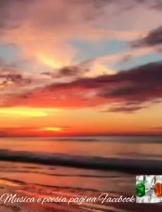 Piero e Cinzia.....🎼🎼💕💕 ......Antonello Venditti | Musica e poesia immagini bellissime