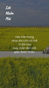 "Hãy trân trọng nhau khi còn có thể, Vì đời này may mắn lắm mới gặp được nhau."🍃 | Lời Muốn Nói