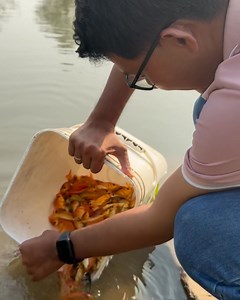 9K views · 32 reactions | Thả cá phóng sanh | Quang Phạm Vlog | Facebook