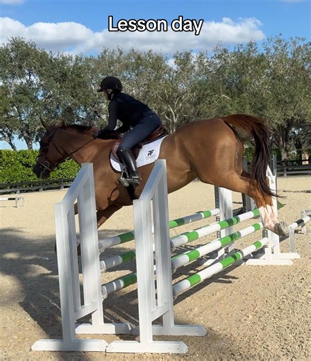 perfect Bo bo for a lesson day excited to show in the adult 1.0m this weekend! #horsegirl #equestrian #poniesandpilates 🫶🏼