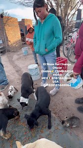 Peluditos comiendo | El Show Del Chango Oficial