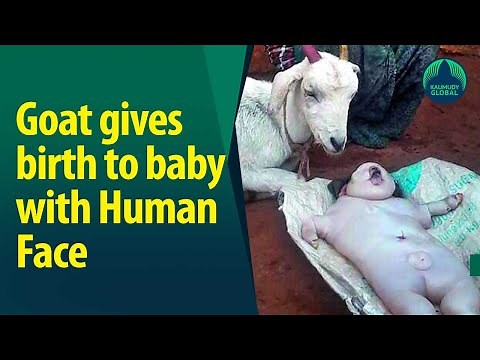 Goat gives birth to human-like baby