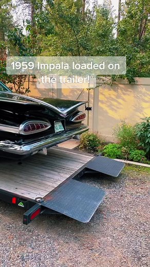 #classics #saved #garagefind #barnfind #chevy #1959impala #impala #cartok #ShowYourGlow #36SecondsOfLightWork