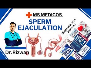Ejaculation Explained | Physiology, Process & Medical Insights | MS Medicos | Dr Rizwan