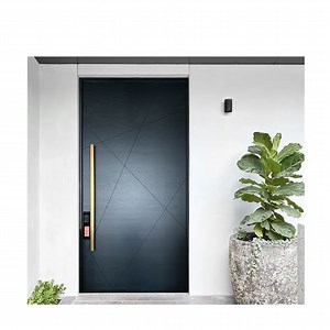 [Hot Item] Commercial Building Hotel Entrance Steel Door for Hotel Room