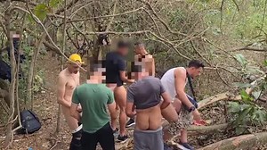 Brazilian Cruising Woods