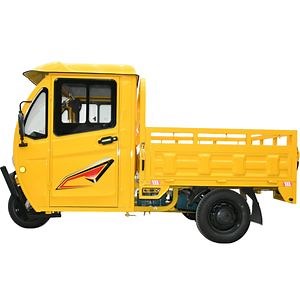 [Hot Item] Durable 3-Wheel Electric Cargo Trike Truck for Adult Transportation Needs