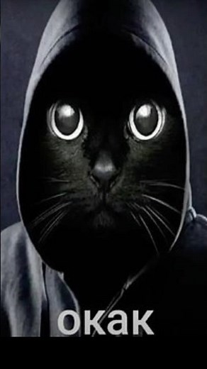 Идеальные имена😅 (оригинал в телеге) #шортс #юмор #реакция #приколы