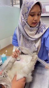 ULTRASOUND: SCAN BLADDER PATIENT PENUH BATU KARANG HALUS/ PASIR....