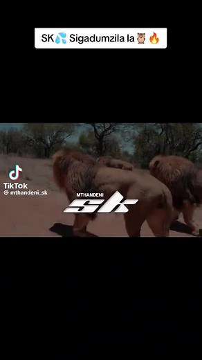 Nkwanyana Zikode on TikTok