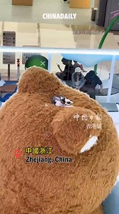 5.8K views · 46 reactions | ”#Cat review: 4/5 stars... minus 1 for no cat blanket"  | China Daily Hong Kong | Facebook