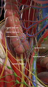 731K views · 776 reactions | ✨ Dive into the lesser-known heroes of...