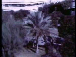 The Spielberg Jewish Film Archive - Beautiful Tel Aviv in Winter