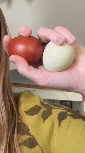 Something to keep in mind, is that if you buy chicks today, you aren't getting eggs for 5 or 6 months. www.watchacrestv.com/brandibuzzard/videos/commodity-classic Buzzard's Beat by Brandi Buzzard | AcresTV