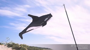 In the Breeze Orca Windsock, 30"