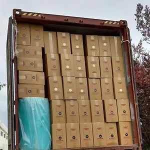 [Hot Item] 100% Polypropylene Spunbond