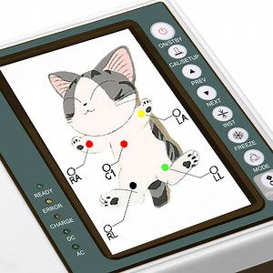 [Hot Item] ECG Veterinary Equipment 3 Channel 7inch Touch Screen Digital ECG Machine