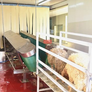 [Hot Item] Goat Lamb Slaughter Equipment Sheep Abattoir Machine for Halal Slaughterhouse Meat Processing
