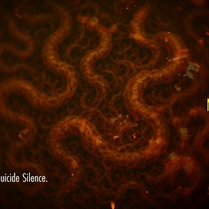 Stop wasting time tweaking tones. Deathcore Domination gives you 10 mix-ready presets for Neural DSP Fortin Nameless Suite X. Built for slam, deathcore, and low-tuned riffing, these presets sound massive without any extra EQ or post-processing. Plug in. Load up. Get heavy. | Chernobyl Audio