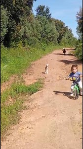 23K views · 160 reactions |  Justo aparece la mamá de la ovejita #viralreels #viralvideoシ #seguidores #humor #risas #risasaseguradas | Lisandro Masajista Dapper | Facebook