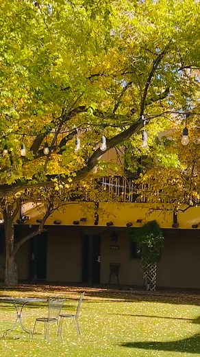 1.2K views · 50 reactions | It is Leaf Season! Get away for a while in Taos! #fallcolors #taoshotels #AuthenticSouthwest #landofenchantment #VacationVibes #skitaos | Sagebrush Inn | Facebook