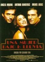 Una mujer bajo la lluvia (1992) en cines.com