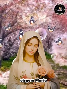 Oração da manhã com Maria. | Vai Dar Tudo Certo