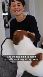 20K views · 100 reactions | What an incredible story!  | BBC Leicester | Facebook