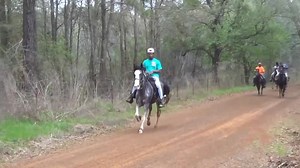 jis bhi bhai ko Ghore ki boht sari chaal dekhni he to ye video zaroor dekhen or apne doston ko share karen | Horse Guru