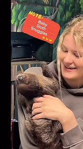 Baby sloth cuddles at Ocoee Riverside Farm! | Ocoee Riverside Farm