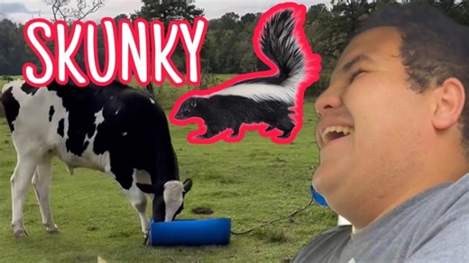 Fast paced feed time - Ben smells the skunk | Shirtless Jake's Homestead