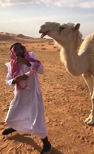 234K views · 2.6K reactions | Bugs, Bothers & Blunders | Peachy | Facebook