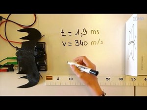 Sciences de la vie et de la Terre - Site SVT Académie de Versailles