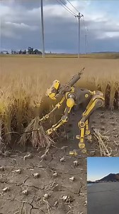 25K views · 53 reactions | Robot harvesting rice #robot #technology #fypシ゚ | Kapit-Bisig Farmers | Facebook