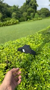 29K views · 18 reactions | The most demanding Chelsea in corodile & snack pattern in 100% premium Leather in affordable price-8279860234 . . . . . #demandshoes #chelseabootsmen #demandingshoe #shoeslover #chelseafans #chelseamarket #blackchelseaboots #rajasthan #leatherboots #leatherchelsea #zoncasterr #patkelwin #donnmarc ##brandlootfootwear #brandloot #blackchelsea | Brandloot Footwear | Facebook