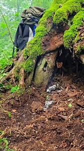 1.7M views · 4.4K reactions | Practice Building a Survival Shelter in a very deep forest. #bushcraft #shelter #survival #survivalskills #prepper | Alaska Prepper | Facebook