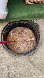 Reminds you of what? ‍♂️ Thank you for watching, do not forget to...