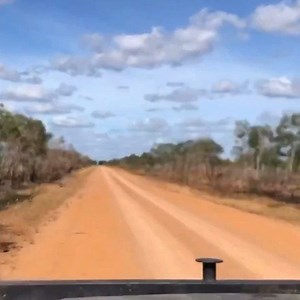 Chasing bulls in the outback. Cape York QLD Australia 🇦🇺 Video owner & credit - @jessecrampton33 #girlsinag #ruralwomen #bushkids #countrywoman #saleyards #ladiesfromtheland #stockandstationagent #countrygirlsaustralia #countryaustralia #cattlestation #stationhand #thisiscountryaustralia #jillaroos #outbackjillaroo #sheepstation #outbackcobber | Outback Cobber