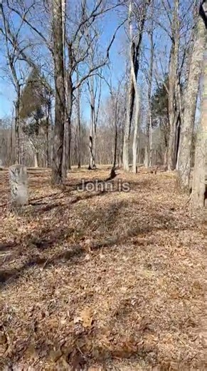 Walking through this cemetery with our SB11 spirit box to let the spirits have a voice | The Paranormal Couple