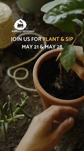 Happy #NationalGardeningDay! 🪴 Join us for a fun evening of getting your hands dirty and creating your own outdoor planter you can enjoy for the whole summer. This evening includes instruction by Donna Biggar on plant selection, planting tips, 16″ container, soil and 2 glasses of wine for sipping. May 21 & May 28 -- registration & details: https://aspencrossing.com/events/plant-sip/ | Aspen Crossing