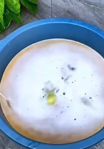 7K views · 51 reactions | Mini machine à laver prix choc à 1250DA✅ | ARCOH | Facebook