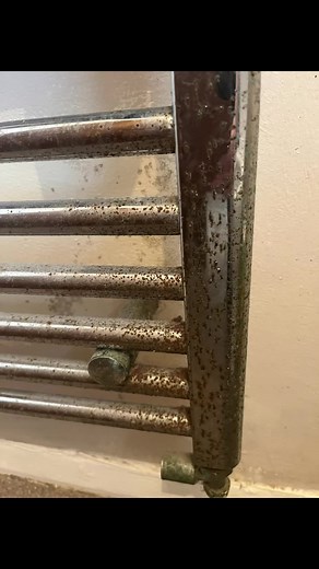 Deep Cleaning a Rusty Bathroom Radiator
