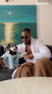 97K views · 4.8K reactions | My dog and I in our billionaire mood ❤️. #lifeofadogdad #dogfriendlypubs #animalrights #petlover #miniatureschnauzersofinstagram | Oga Duke | Facebook